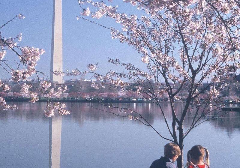 فندق Homewood Suites By Hilton Falls Church   I 495 At Rt. 50