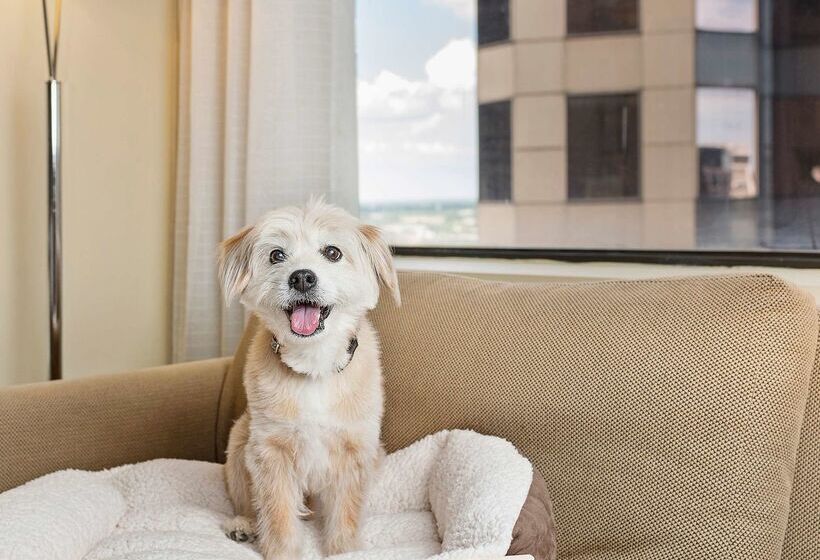 Отель Hyatt Regency Houston Downtown