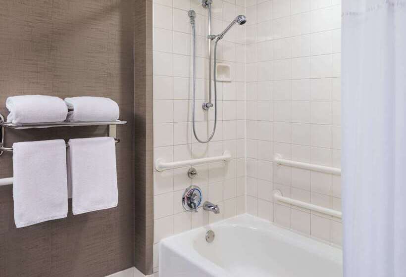 בית מלון כפרי Hyatt Centric Chicago Ohare