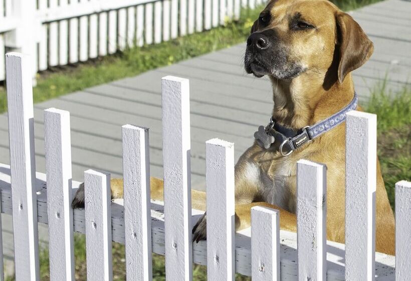 호텔 Inn At Schoolhouse Creek