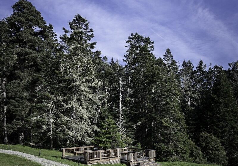 호텔 Inn At Schoolhouse Creek