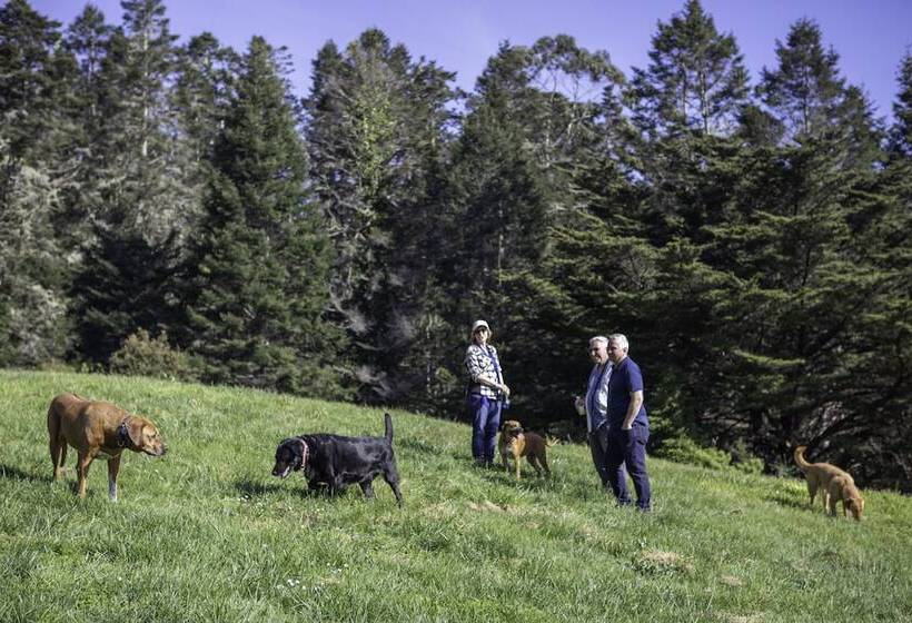 호텔 Inn At Schoolhouse Creek