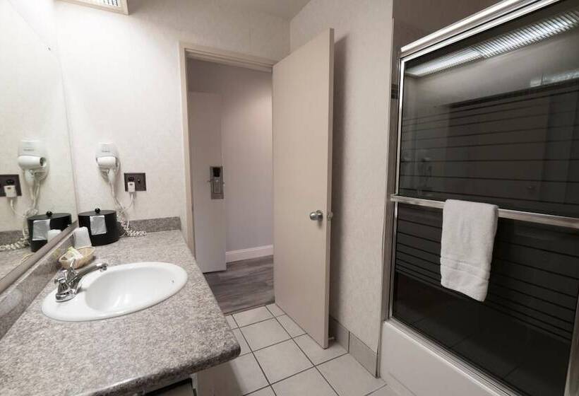 酒店 International