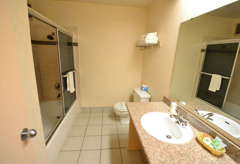 酒店 International