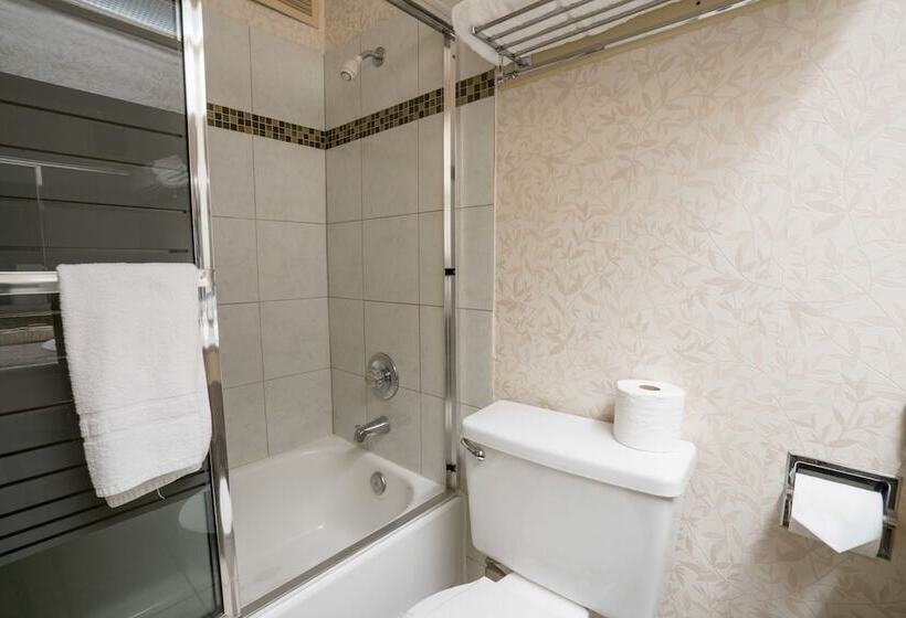 酒店 International