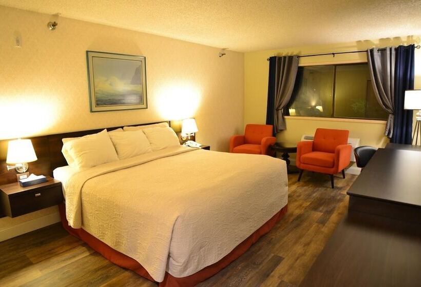 酒店 International