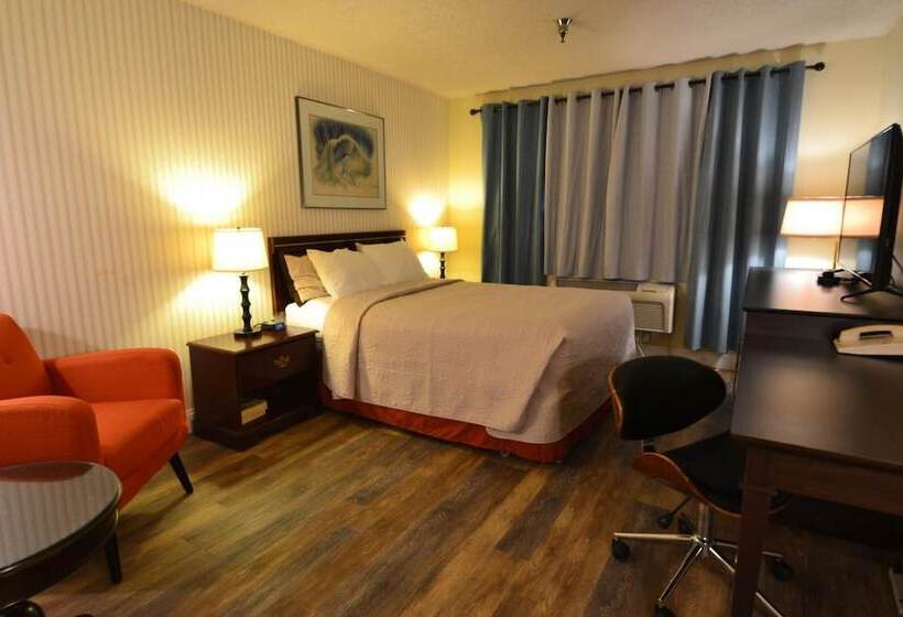 酒店 International