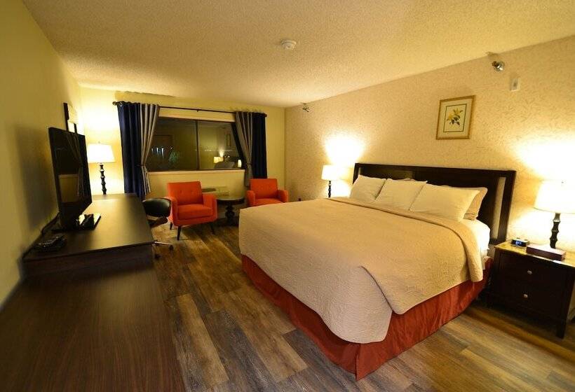 酒店 International