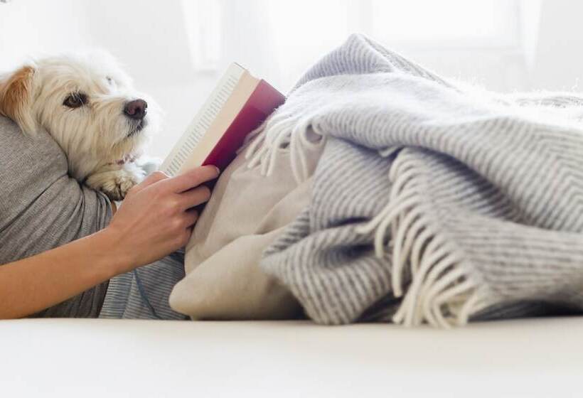 Kimpton Hotel Monaco Salt Lake City, An Ihg