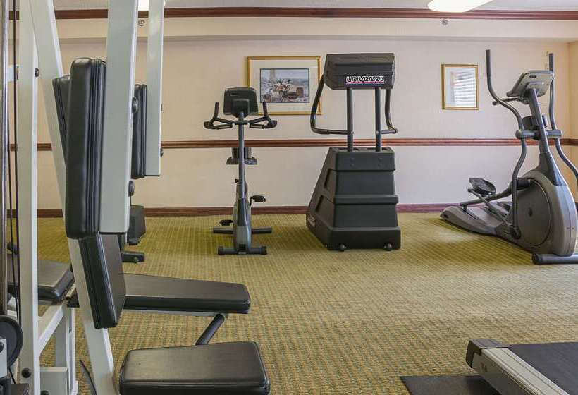 Отель Quality Inn & Suites Detroit Metro Airport