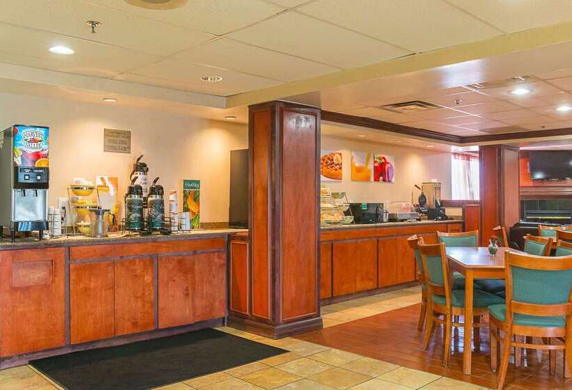 Отель Quality Inn & Suites Detroit Metro Airport