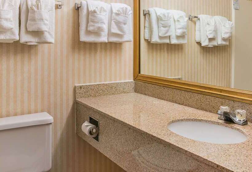 酒店 Quality Inn & Suites Detroit Metro Airport