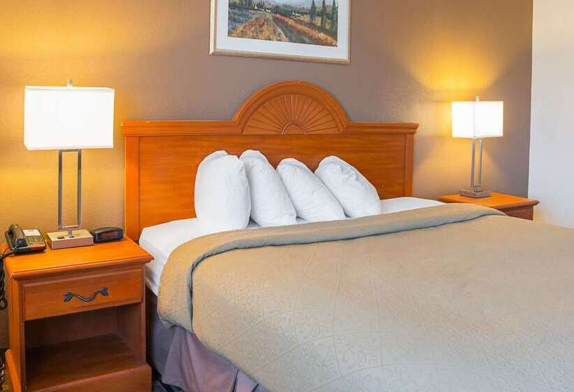 酒店 Quality Inn & Suites Detroit Metro Airport