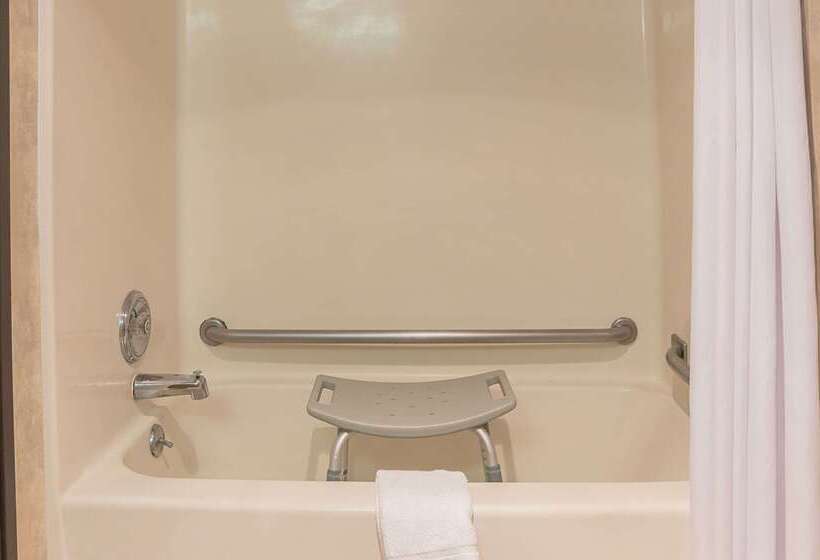 酒店 Quality Inn & Suites Detroit Metro Airport