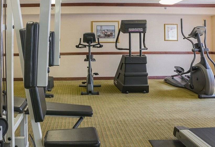 酒店 Quality Inn & Suites Detroit Metro Airport