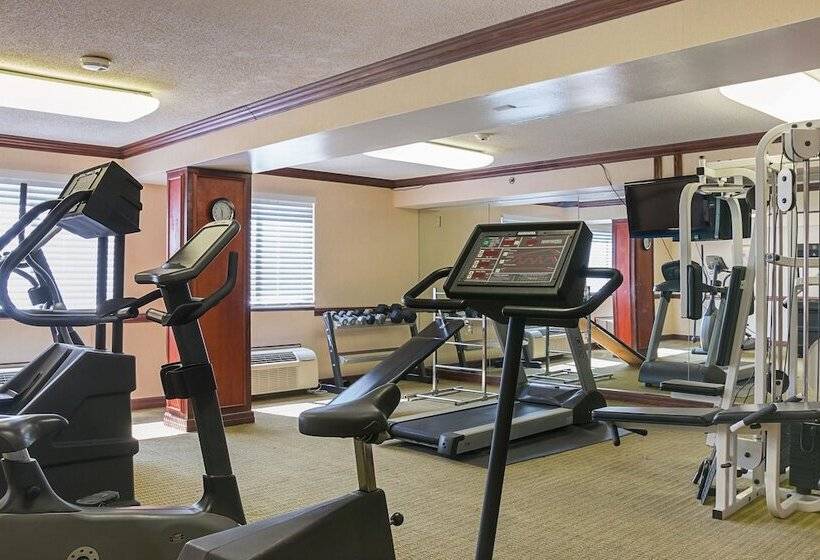 酒店 Quality Inn & Suites Detroit Metro Airport