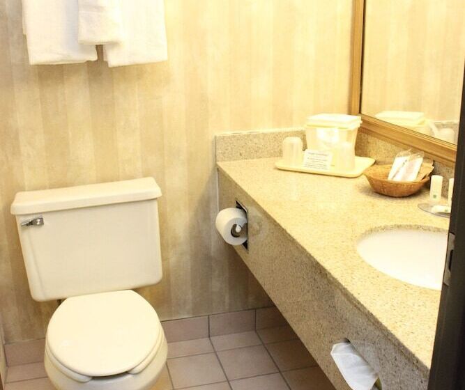 酒店 Quality Inn & Suites Detroit Metro Airport