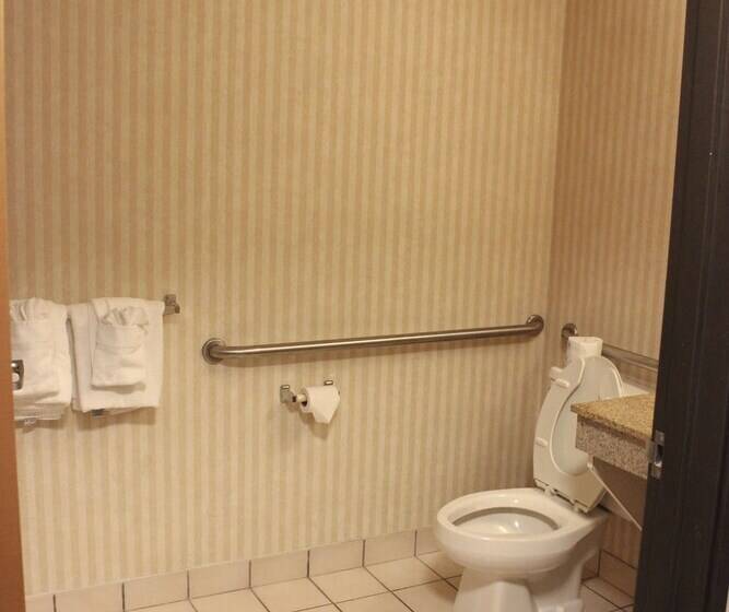 酒店 Quality Inn & Suites Detroit Metro Airport