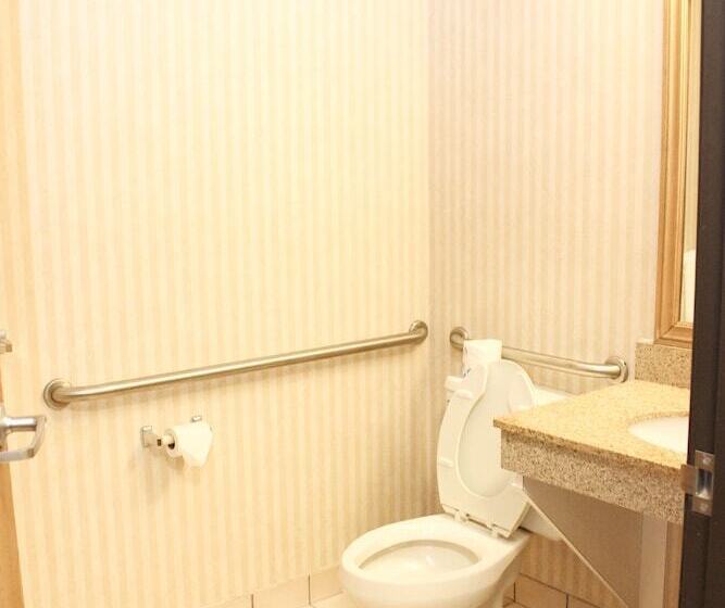 酒店 Quality Inn & Suites Detroit Metro Airport