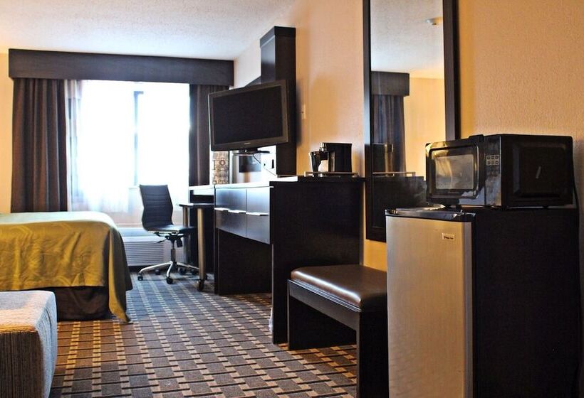 Отель Quality Inn & Suites Detroit Metro Airport