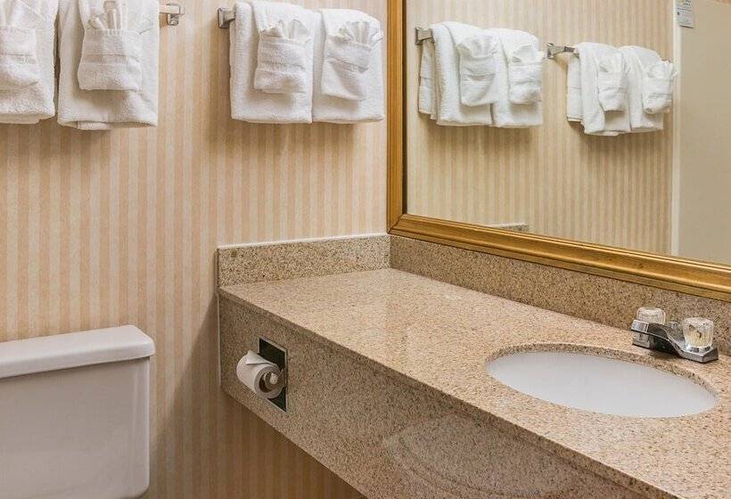 Отель Quality Inn & Suites Detroit Metro Airport