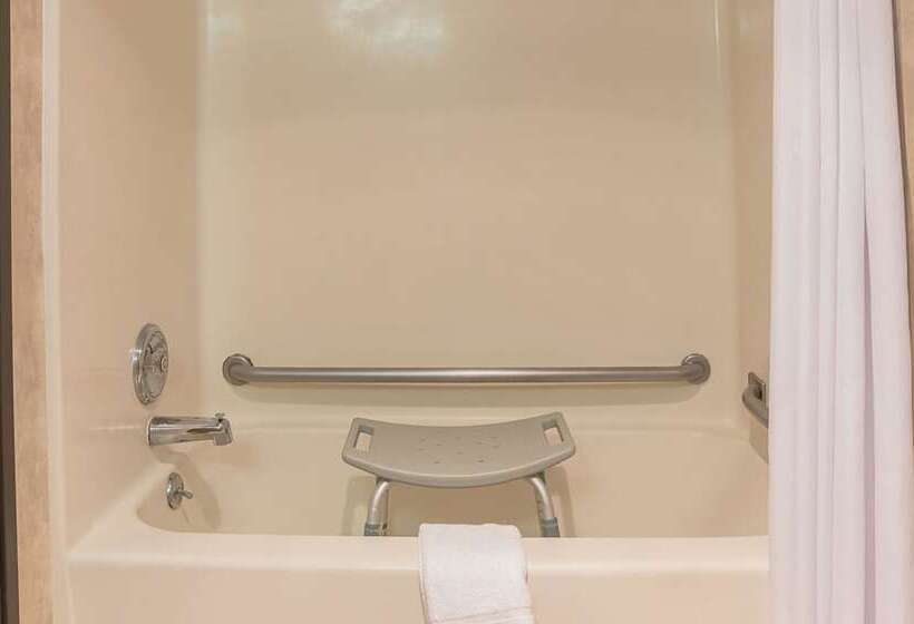 酒店 Quality Inn & Suites Detroit Metro Airport