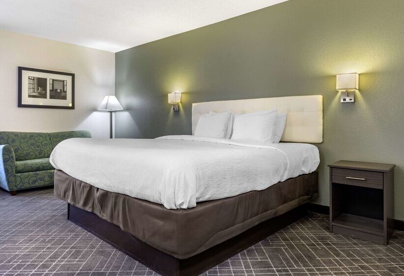 فندق Quality Inn