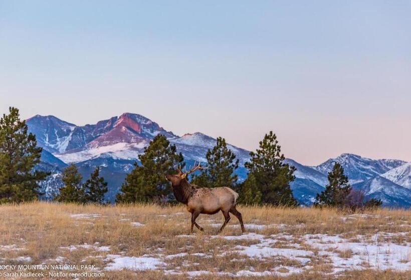 בית מלון כפרי Expedition Lodge Estes Park