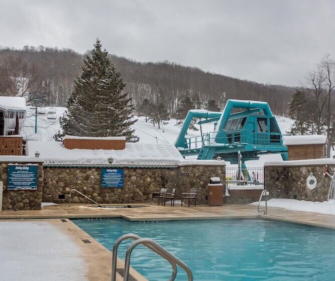 酒店 The Inn At Holiday Valley