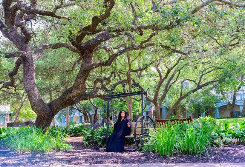 Hyatt Regency Hill Country Resort & Spa