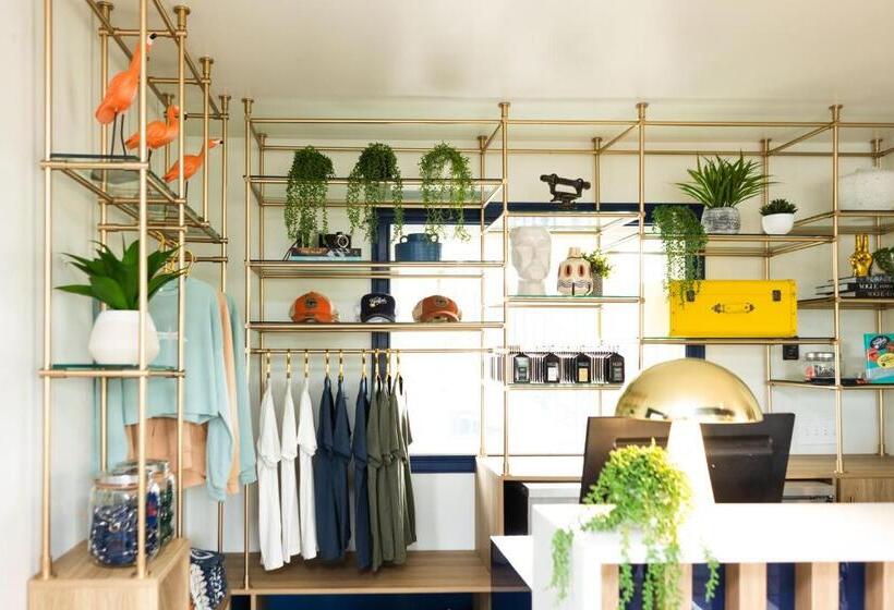 Мотель Freebird By Reverie Boutique Collection