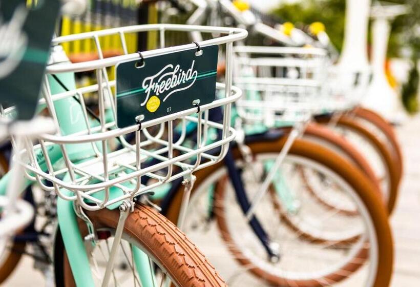 Мотель Freebird By Reverie Boutique Collection