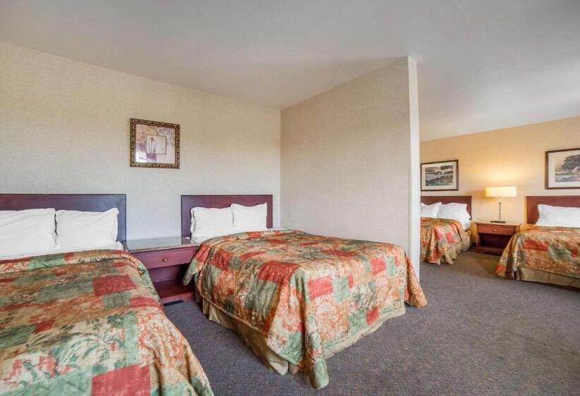 فندق على الطريق Rodeway Inn & Suites