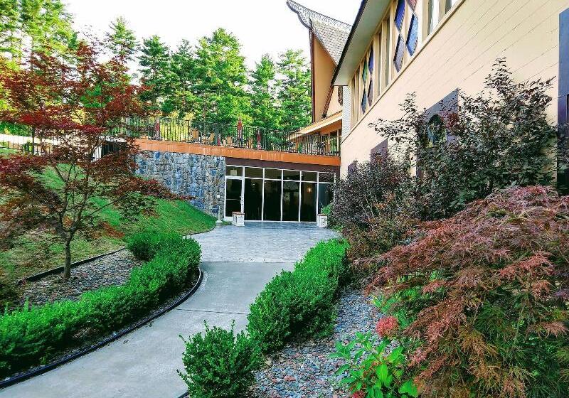 Tiki Resort   Lake George