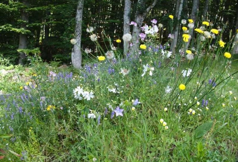 호텔 Kraftquelle Waldhäuser