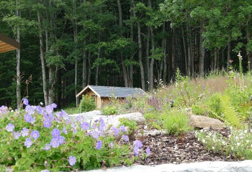 호텔 Kraftquelle Waldhäuser