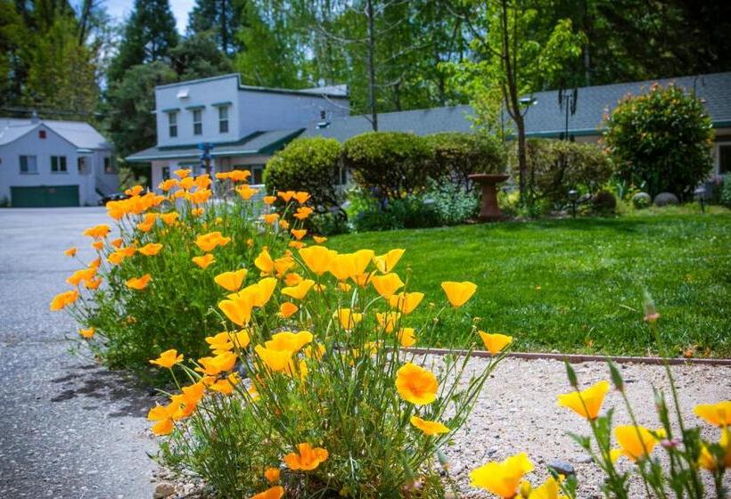 فندق على الطريق Outside Inn