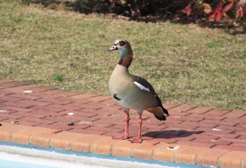 פנסיון Casa Bella Guesthouse Pennington