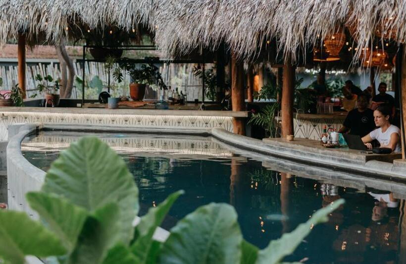 הוסטל The Space Jungle Oasis