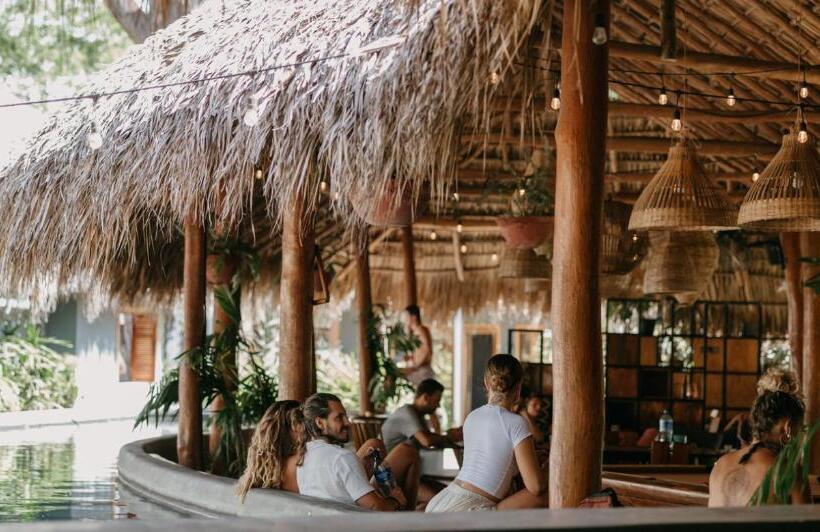 הוסטל The Space Jungle Oasis