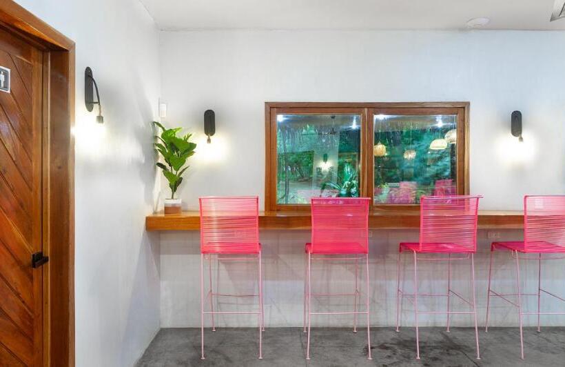 הוסטל The Space Jungle Oasis