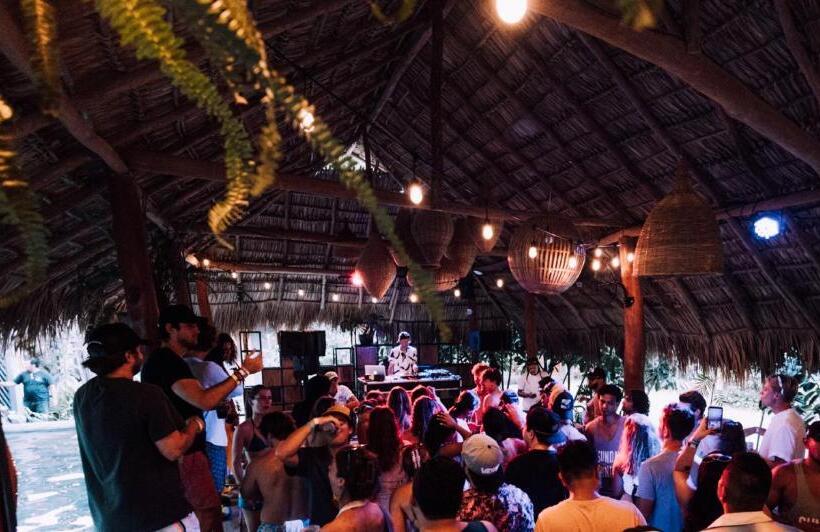 הוסטל The Space Jungle Oasis