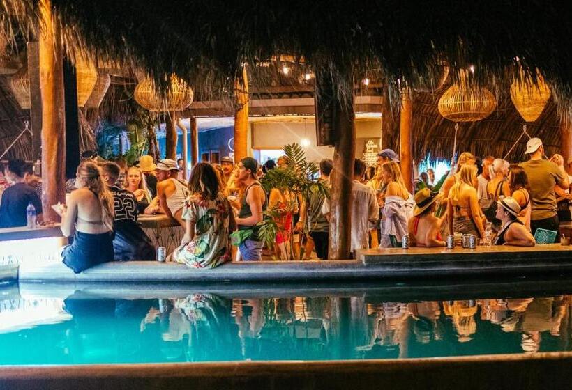 הוסטל The Space Jungle Oasis