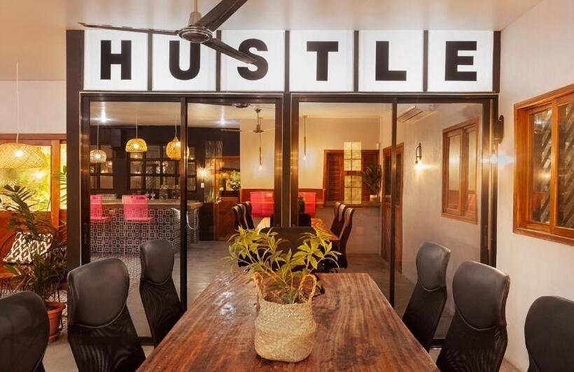 הוסטל The Space Jungle Oasis