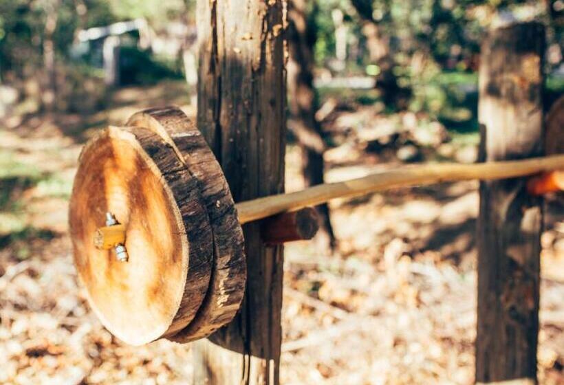 הוסטל The Space Jungle Oasis