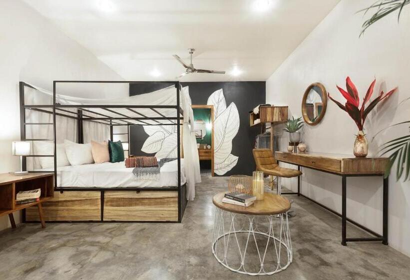 הוסטל The Space Jungle Oasis