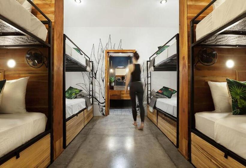 הוסטל The Space Jungle Oasis