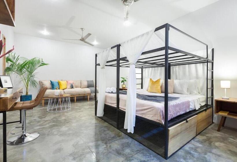 הוסטל The Space Jungle Oasis