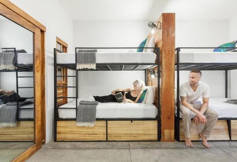 הוסטל The Space Jungle Oasis