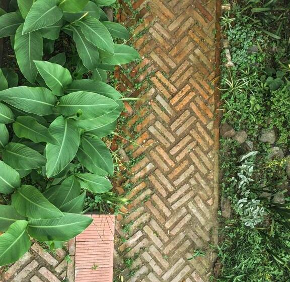 ベッドアンドブレックファースト Casa Mansa